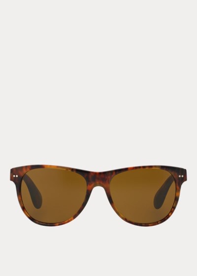 Men's Ralph Lauren Classic Heritage Sunglasses | 714368JOR